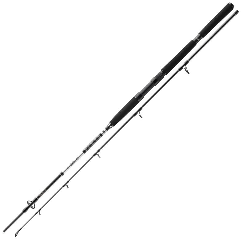 Daiwa BG Pilk 2,40m 50-165g