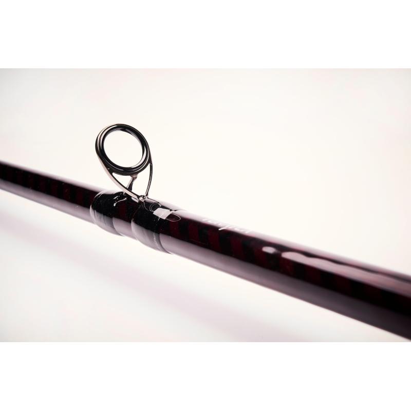 Savage Gear Alpha Sg6 Monster 2.38M/60-120G 2P C