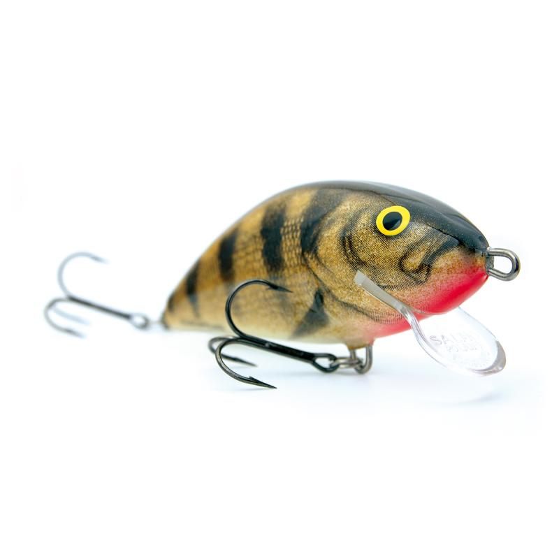 Salmo Fatso Naufrage 10cm 52G Perche émeraude 1,2 / 2,0m