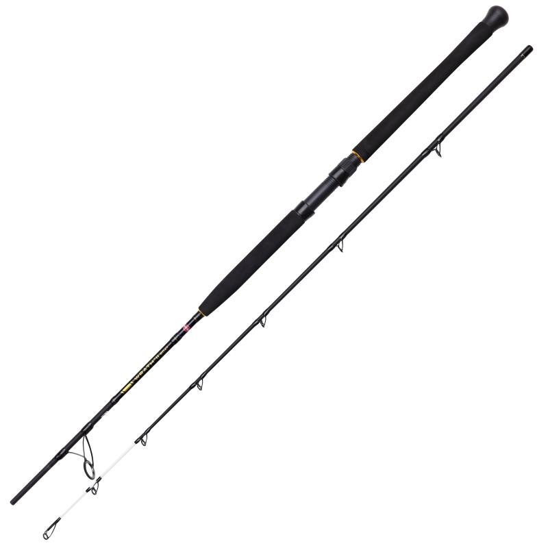 PENN Wrath Ii Boat 702 20-30Lb 6000 Cbo