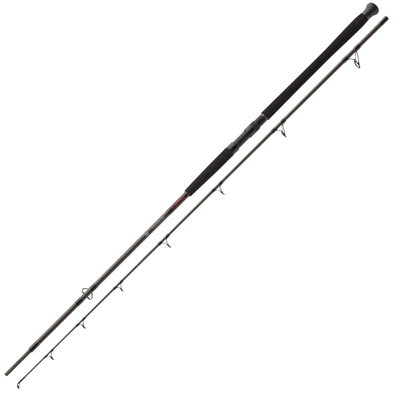 Bouée Silure Daiwa Exceler 3.30m 200-600g