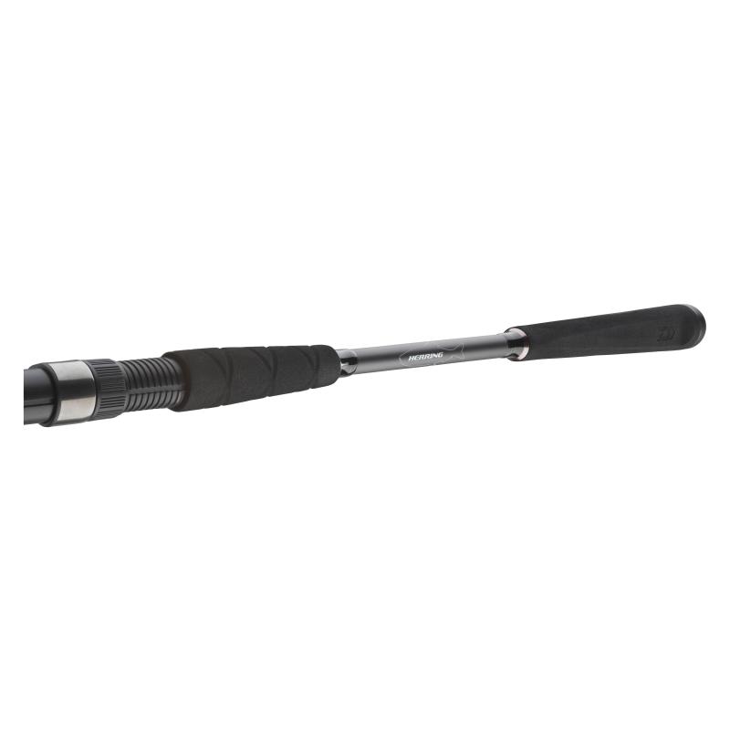 Daiwa Seahunter X 2.70m 30-60g
