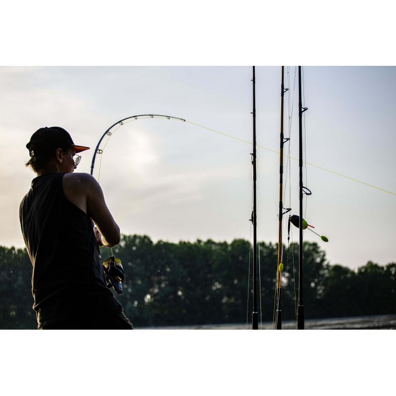 Black Cat Zeus Line G2 Ø 0,38mm L: 250m 37kg / 81lbs gelb