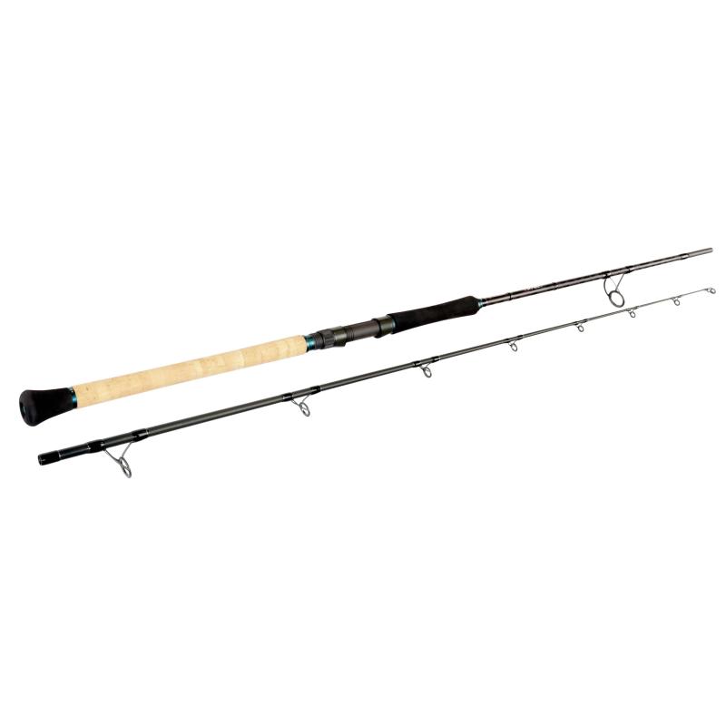 Sportex Top Cat CS-2 TC2908 2,80m WG 130-300g