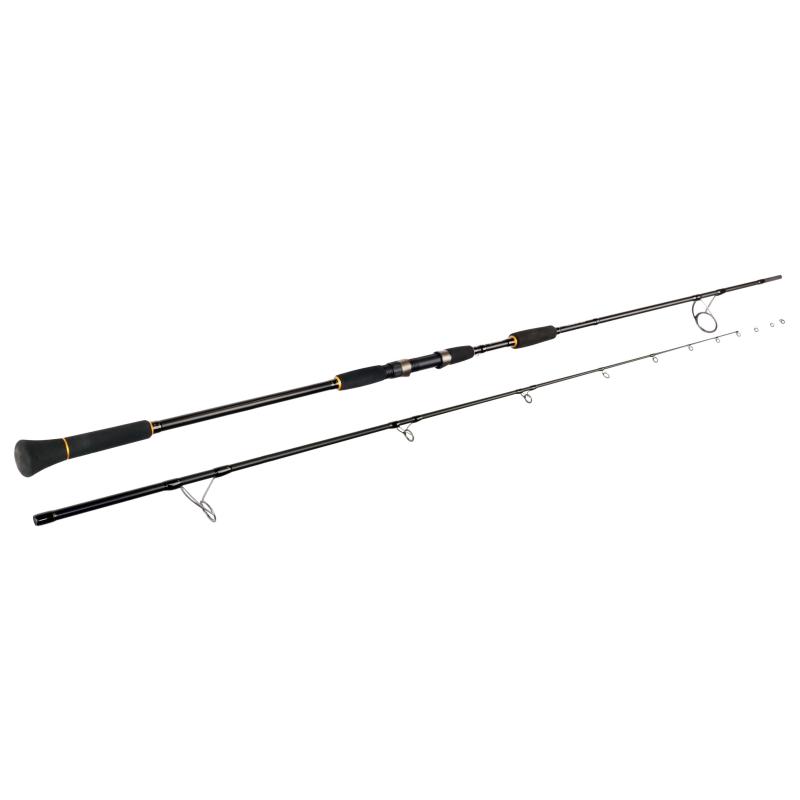 Sportex Sturgeon ST3319 3,30m WG 45-129g