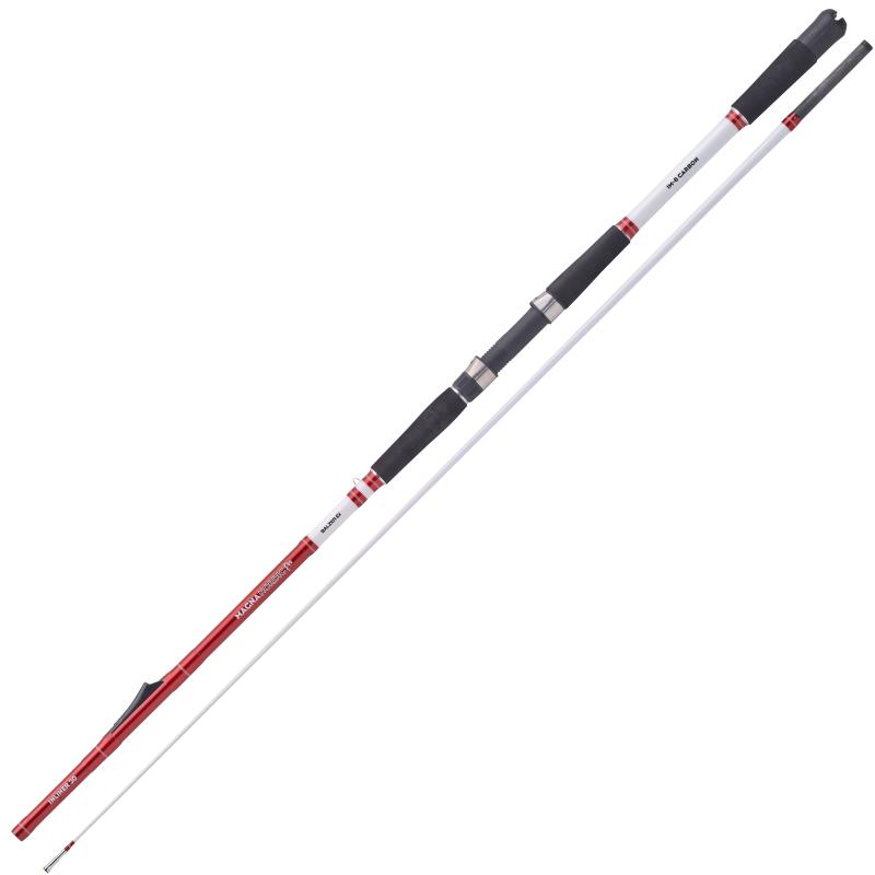 Canne à Lancer Daiwa BG Popper 2,30m 40-150g Pour Pêche En Eau Salée