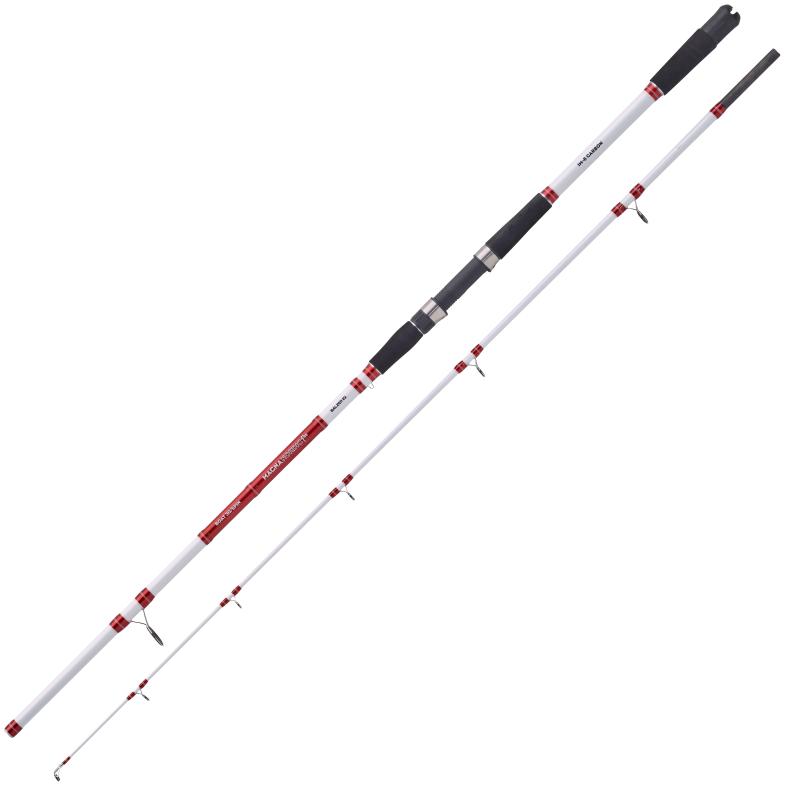 Balzer Magna Nordic Pro Boat 30/Spin 2,40m