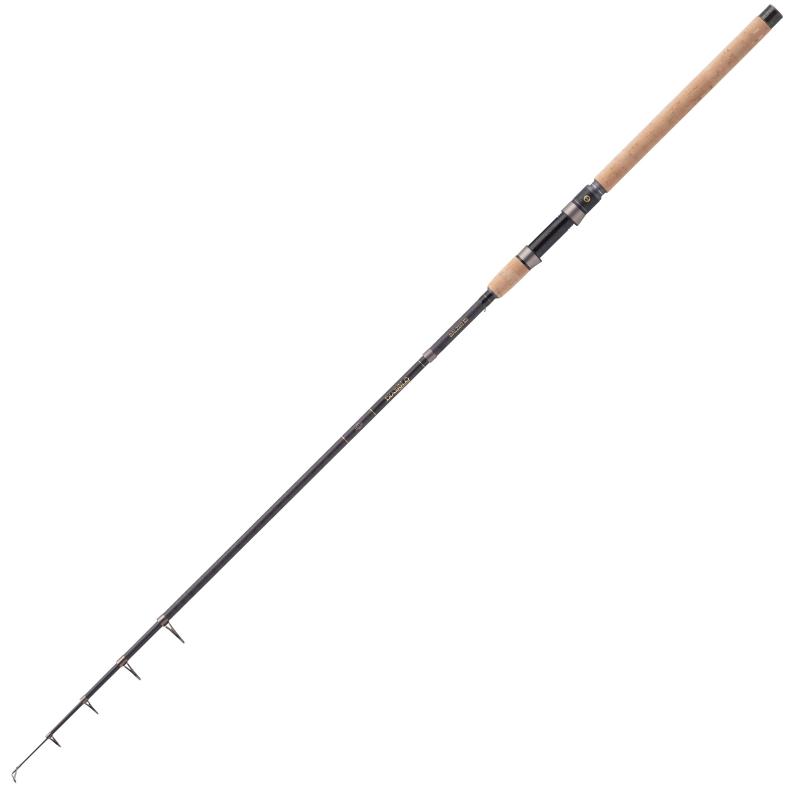 Balzer Diabolo Golden Circle Tele 45, 3,00m