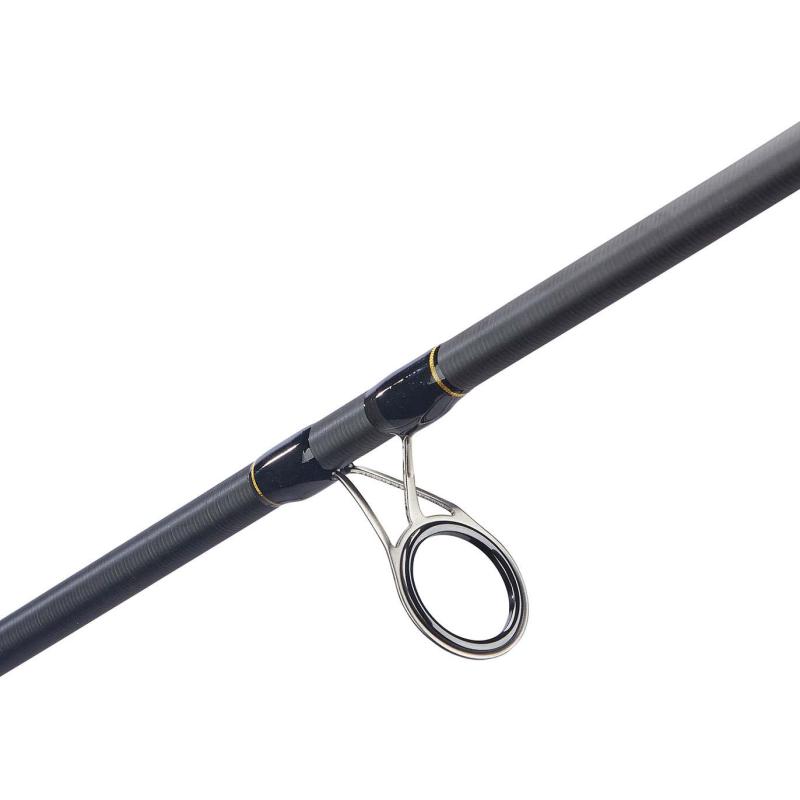 Balzer Diabolo Golden Circle Spin 45, 2,70m