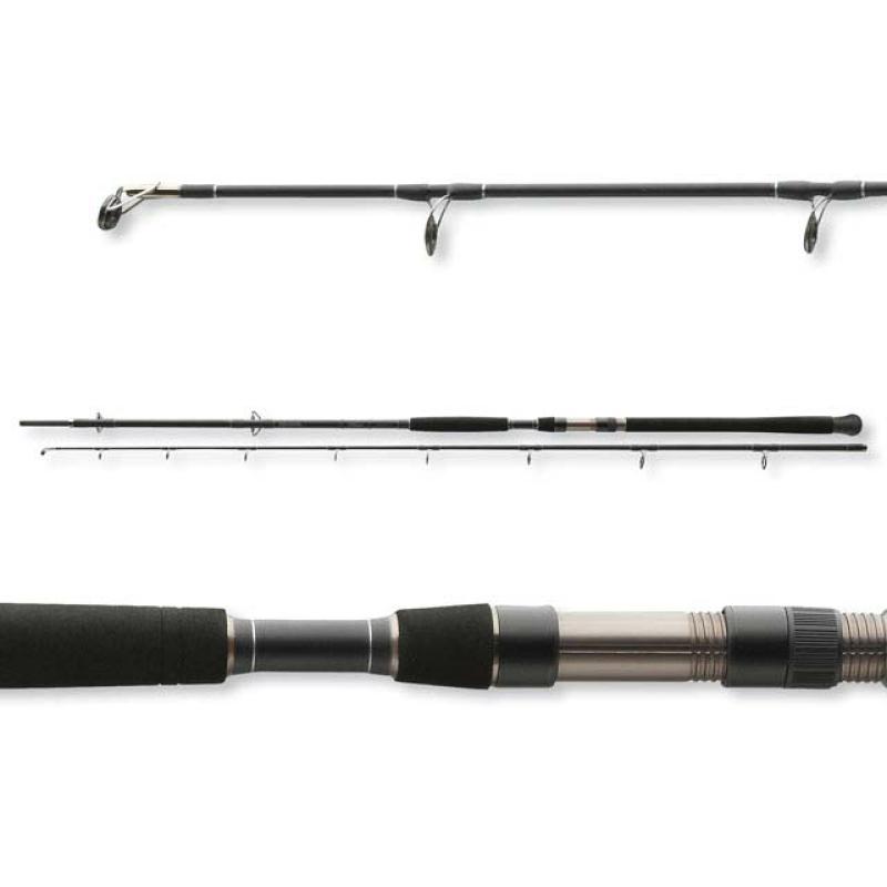 Daiwa Exceler Catfish Boje 2.70m 200-600g