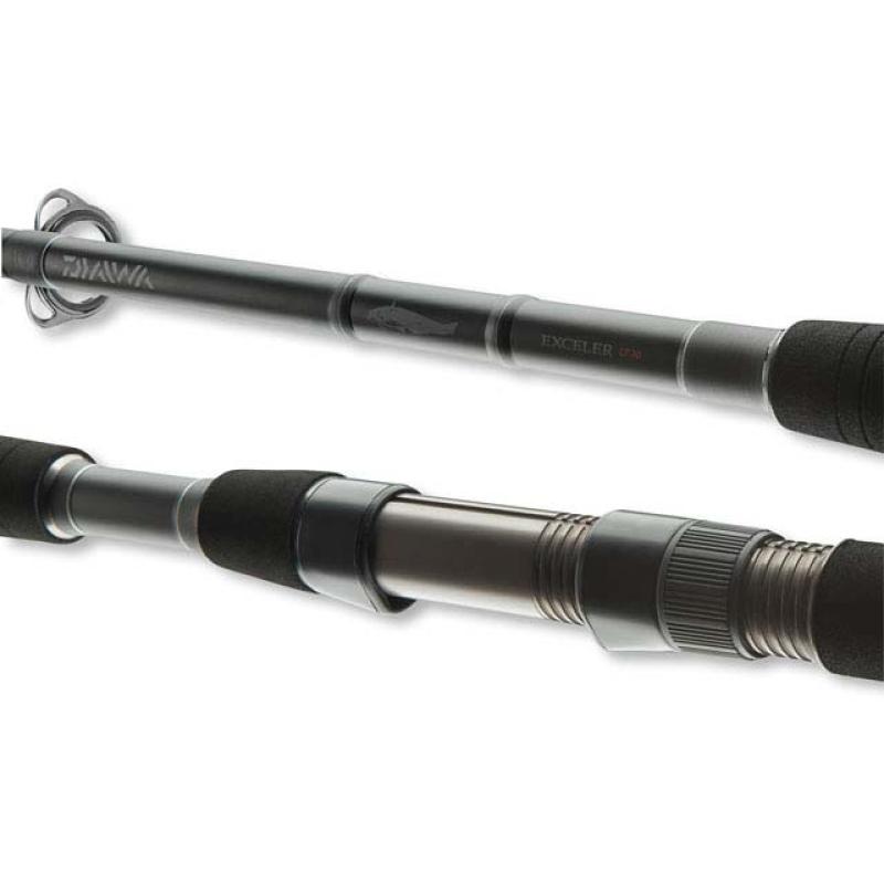 Daiwa Exceler Catfish Boje 2.70m 200-600g