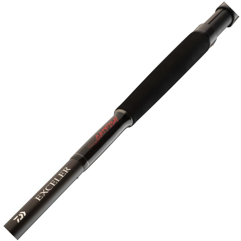 Daiwa Exceler Catfish Boje 2.70m 200-600g