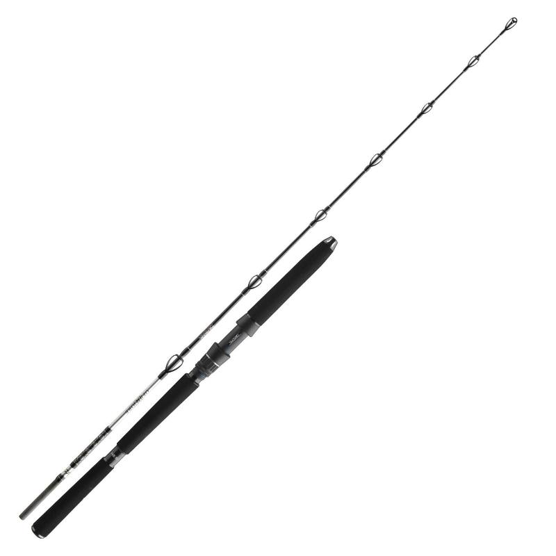Daiwa BG Deep Sea 2,20m 30lbs