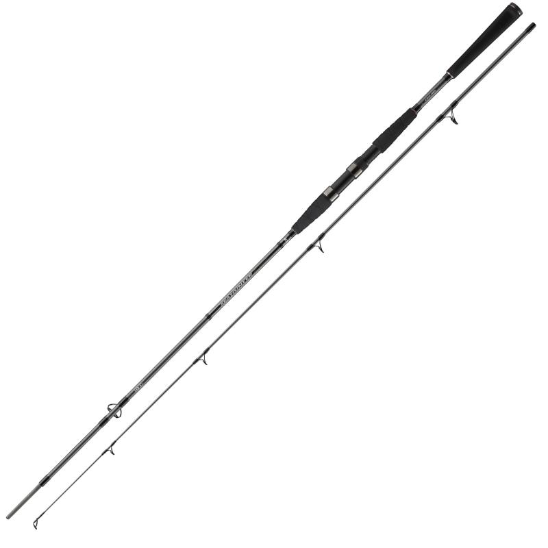 Daiwa Seahunter X 2.40m 40-120g