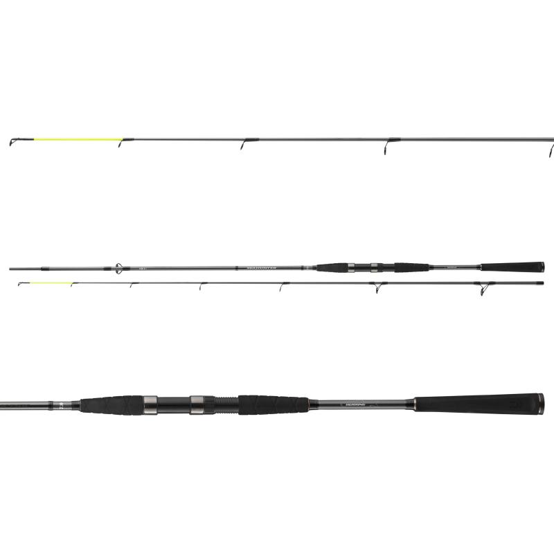 Produktbild Daiwa Seahunter X 2.70m 30-60g