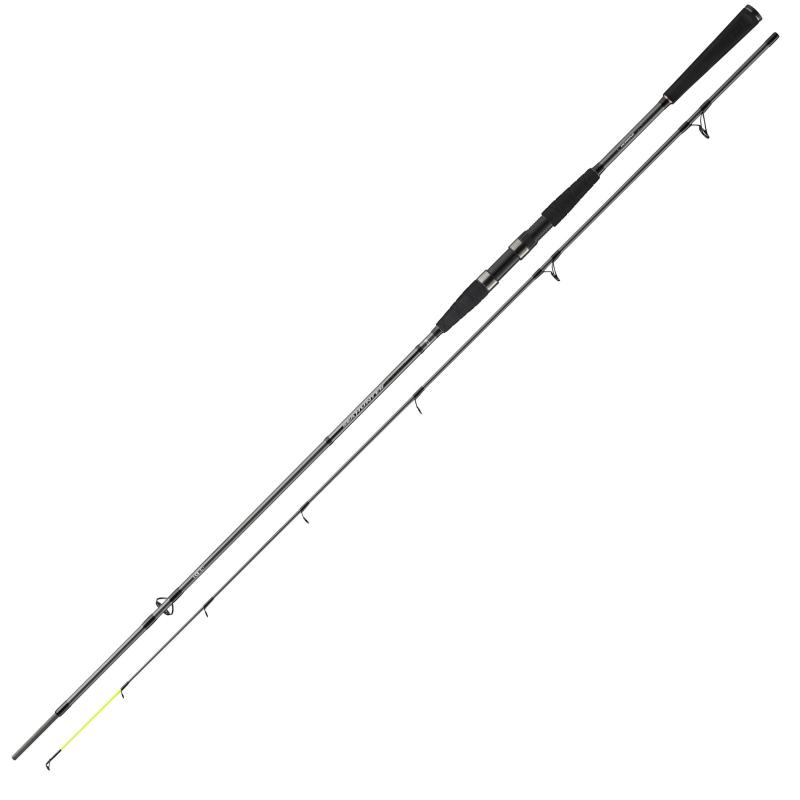 Daiwa Seahunter X 2.70m 30-60g