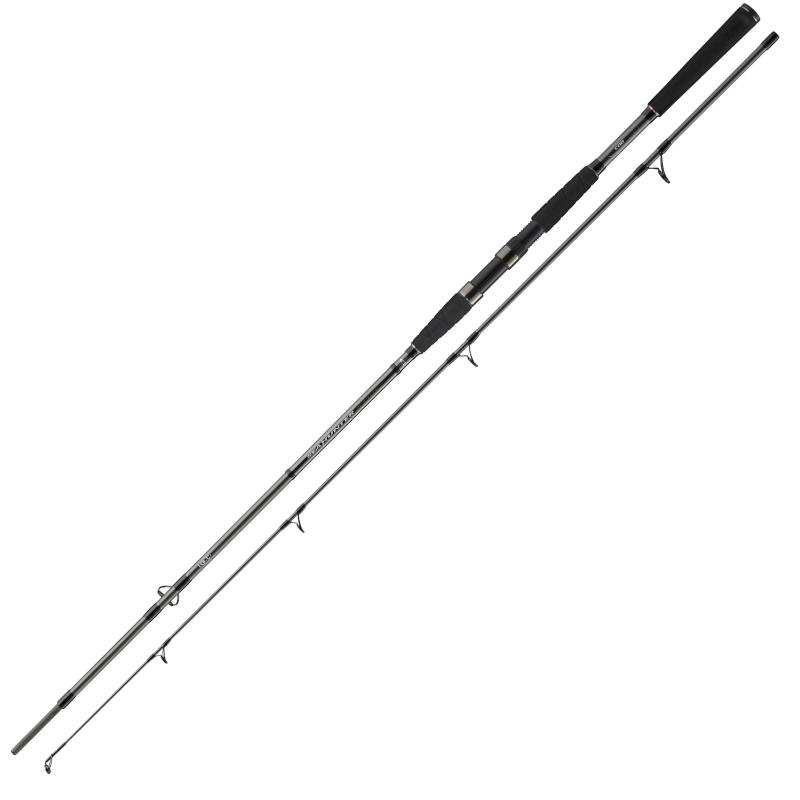 Daiwa Seahunter X 2.70m 100-200g