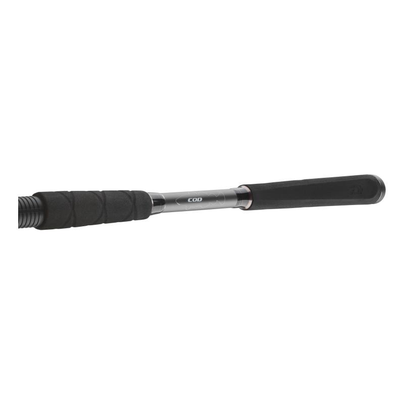 Daiwa Seahunter X 2.70m 100-200g
