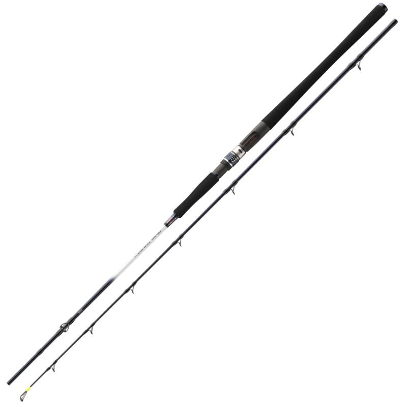 Daiwa Grandwave BC 2.25m 10-20lbs