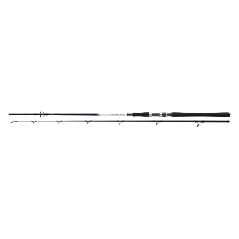 Daiwa Grandwave 2.40m 40-100g