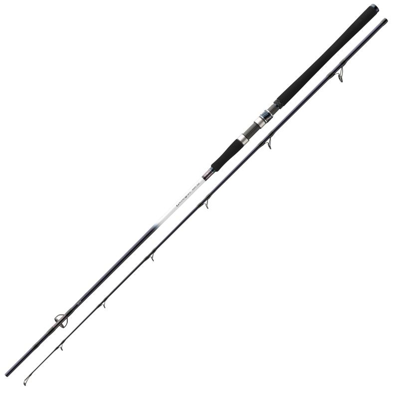 Daiwa Grandwave 2.40m 150-300g
