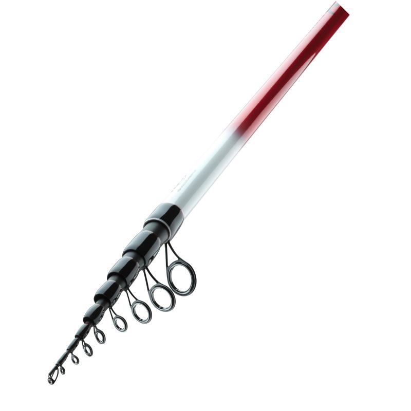 Daiwa Ninja Bolo 6m 25g
