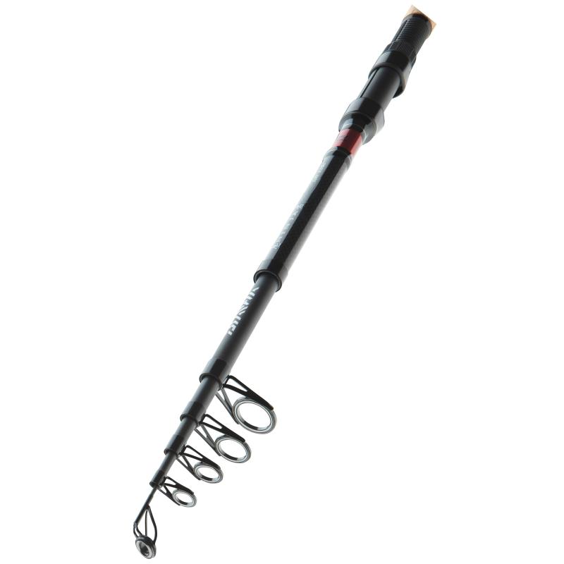 Daiwa Ninja X Tele Carp 9ft 2.00lbs