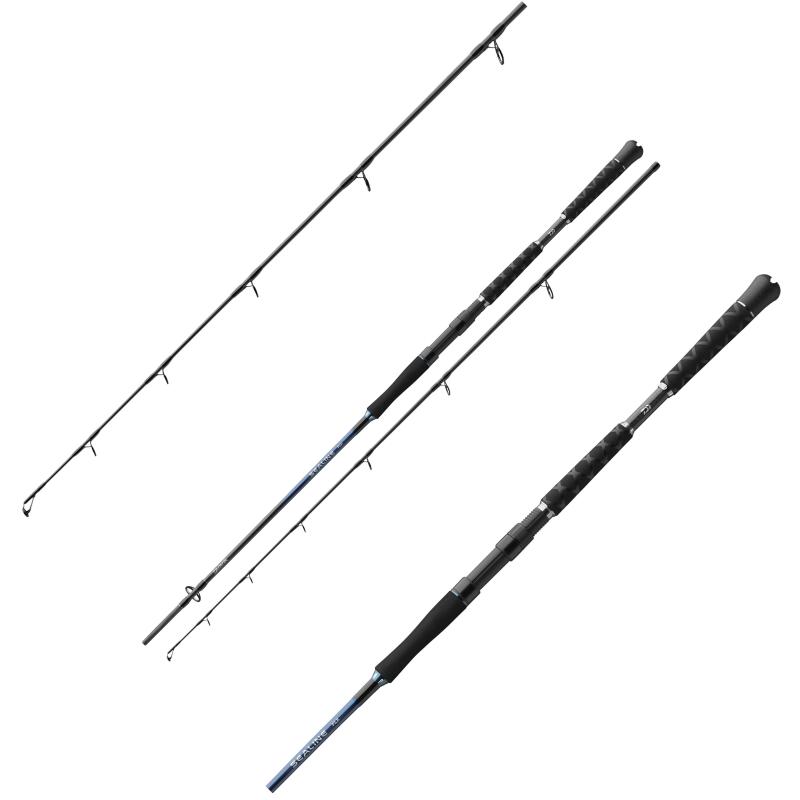 Daiwa Sealine Pilk 2,10m 100-300g