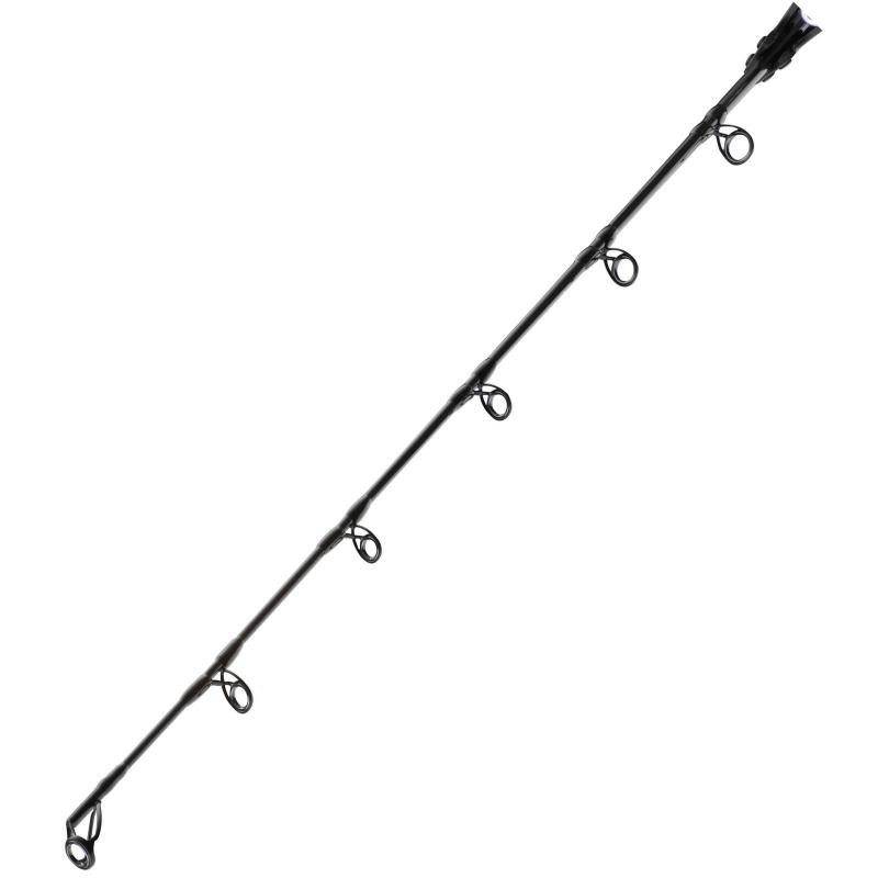 Daiwa Sealine Pilk 2,10m 100-300g