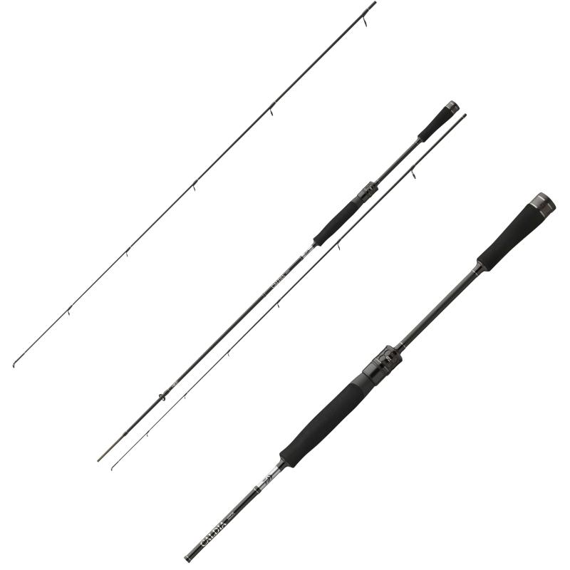 Daiwa Caldia Spin 1,95m 1-6g