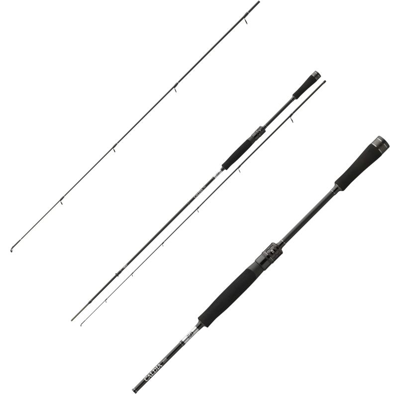 Daiwa Caldia Spin 2,00m 3-12g
