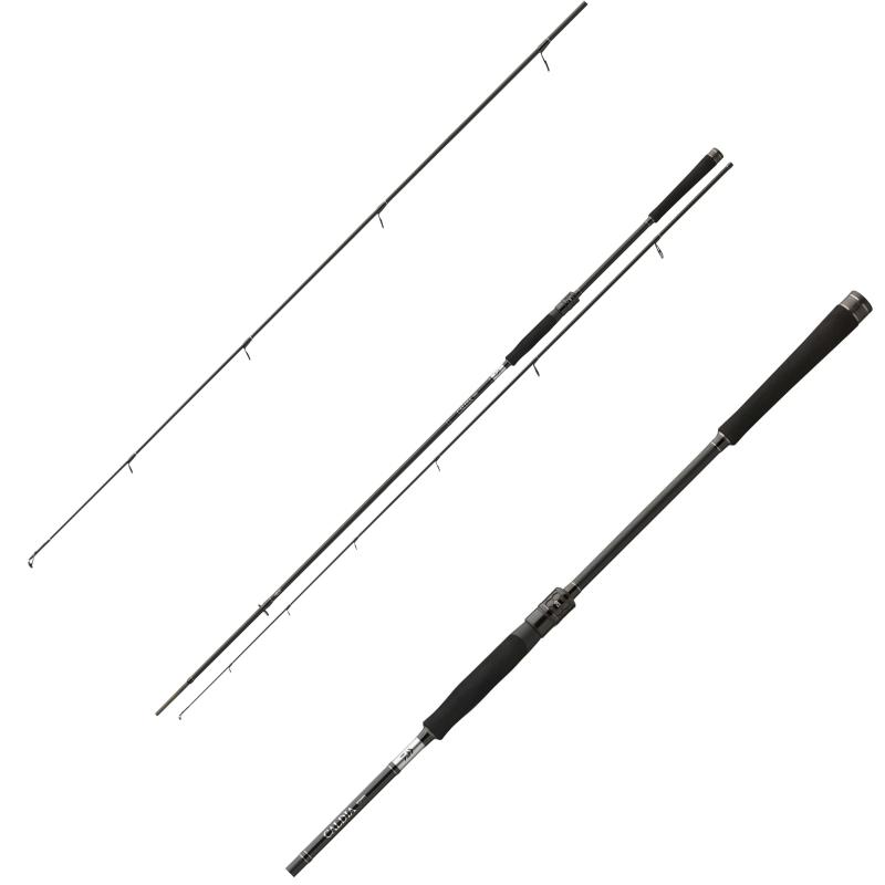 Daiwa Caldia Spin 2,70m 30-70g