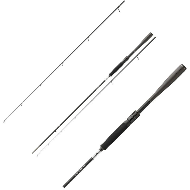 Produktbild Daiwa Caldia Sensor Spin 2,30m 4-18g