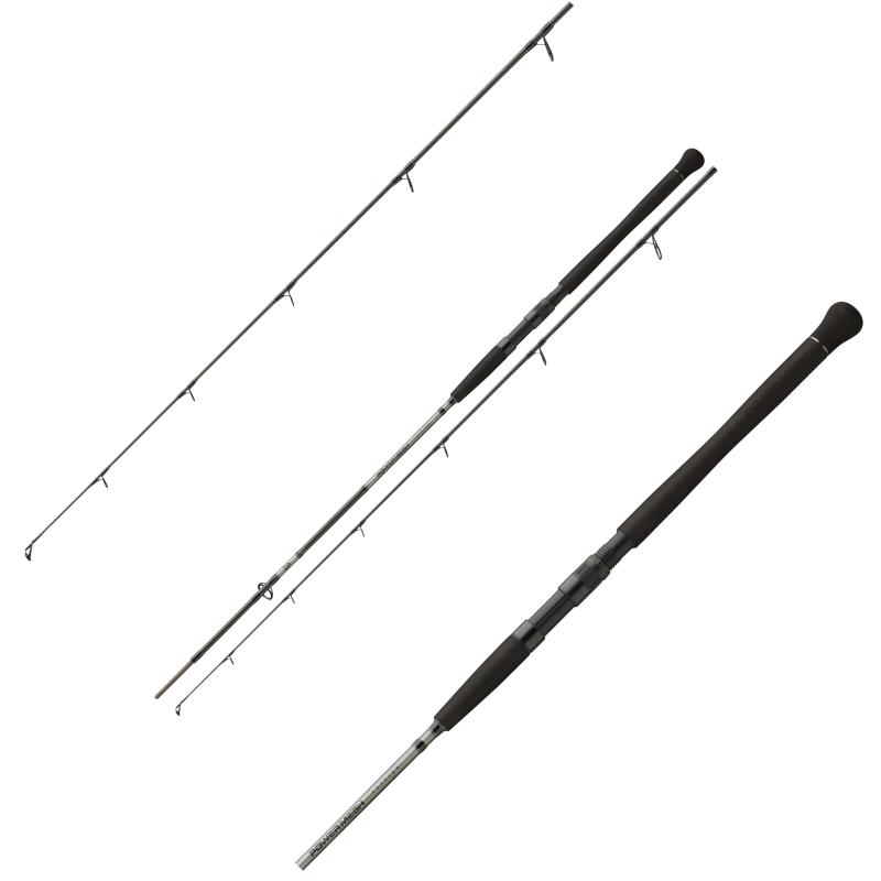 Daiwa Powermesh CF Spin 2,70m 185g