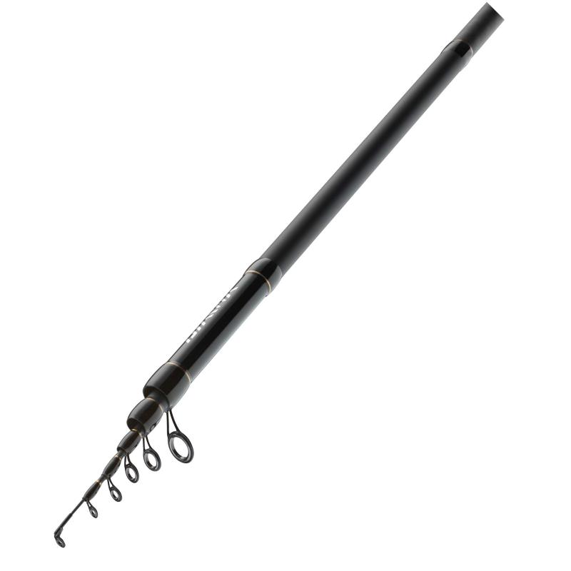 Daiwa Legalis Tele Trout 4,20m 5-25g