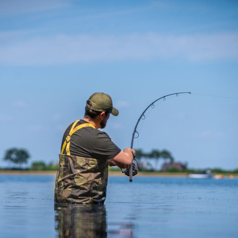 Avid Revolve 10Ft 3.0Lbs