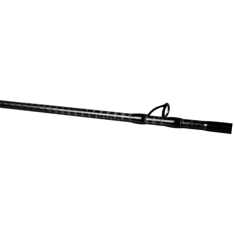Fishing Tackle Max Aal Instinkt Greenlight 3,00m 50-150g