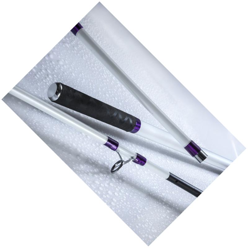 DEGA Rute Galaxxy Surf 100-250 g.