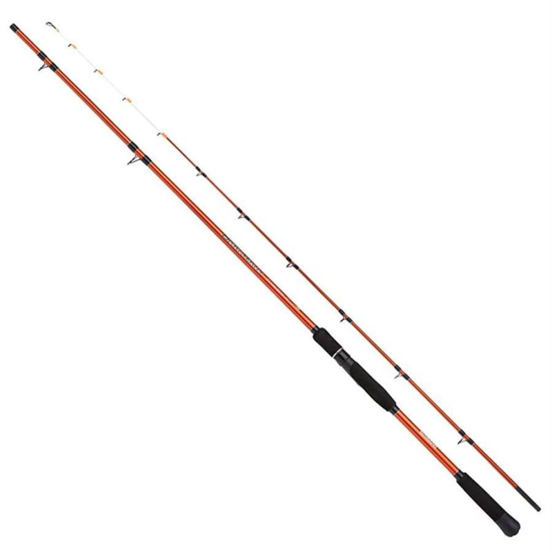 Shimano Beastmaster Tataki H 2,44m 250g 2pc