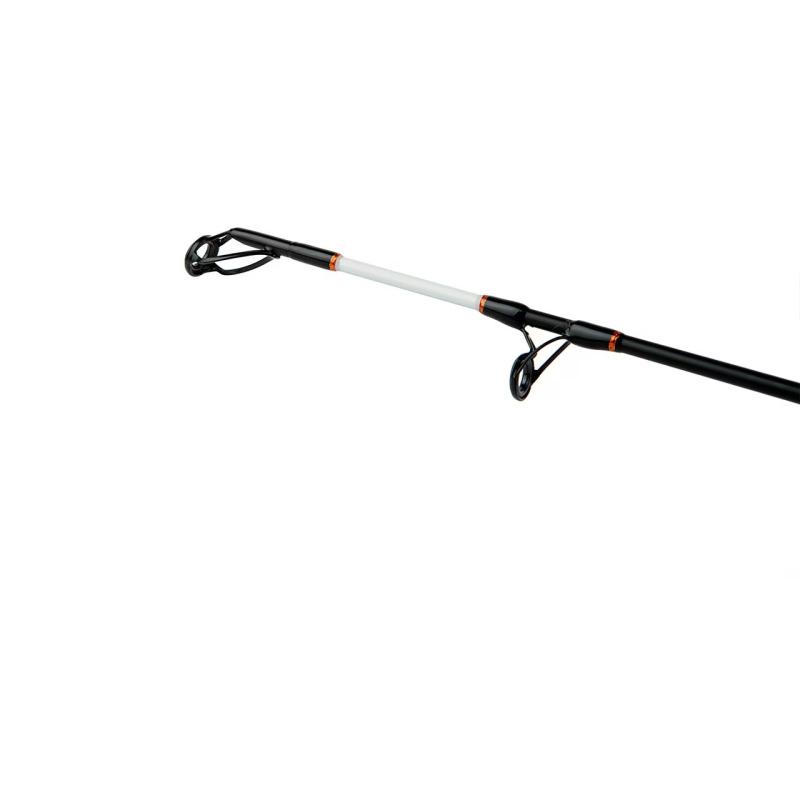 Shimano Beastmaster Catfish Multi  230cm 200g 2pc