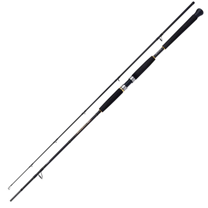 Shimano Beastmaster AX Pilk 2,40m 150-300g 2pc