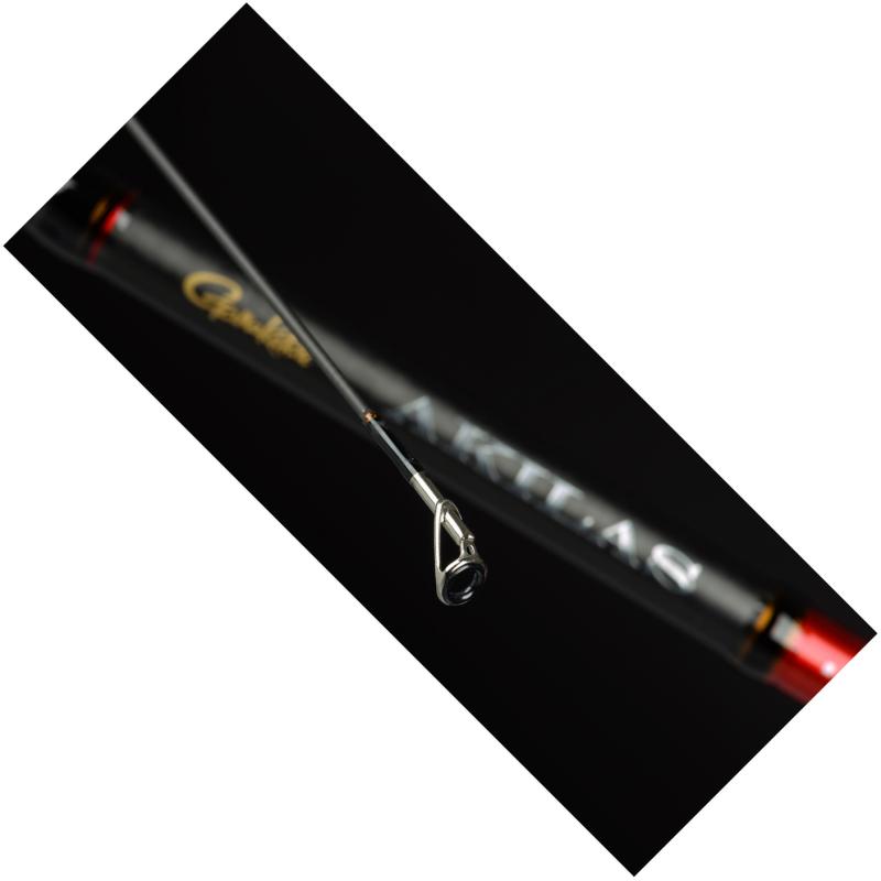 Gamakatsu Akilas 2018 80Xh 2,40m 15-60g
