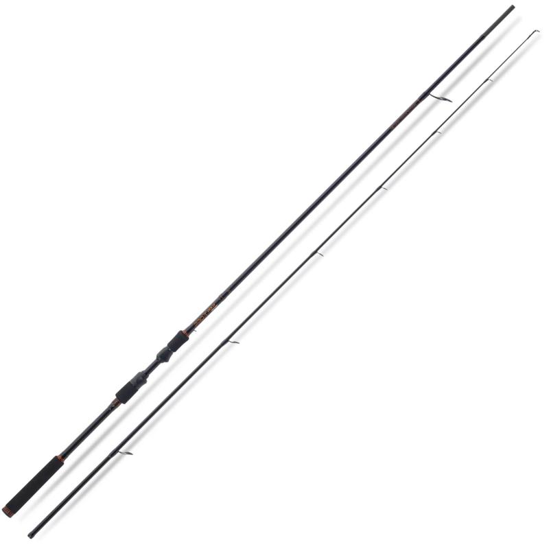 SAENGER Pro-T Gold Zander 2,40m/18-55g