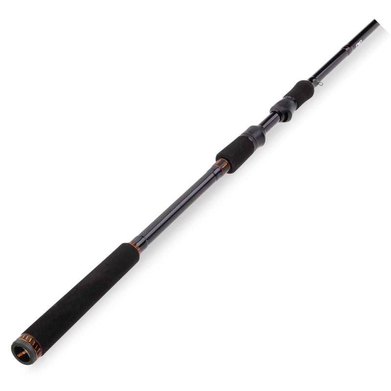 SAENGER Pro-T Gold Hecht 2,70m/25-70g