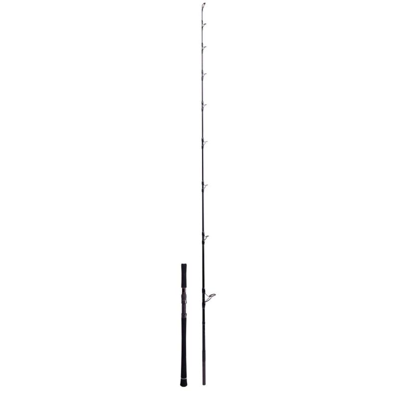 Zeck Evo Cat Vertic 190cm 180g