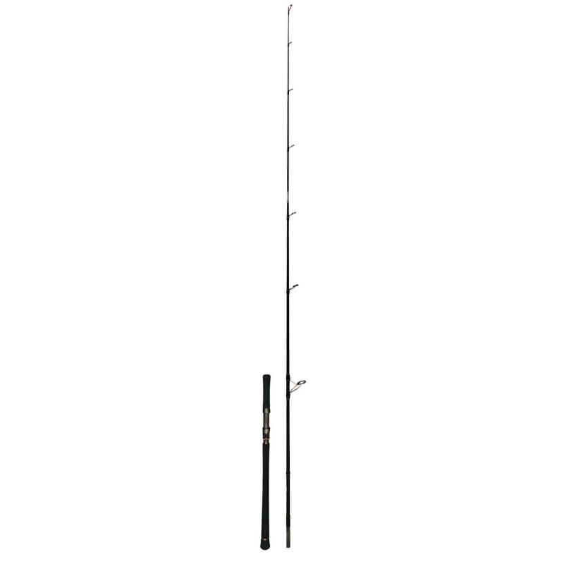 Zeck Evo Cat Spin 243cm 120g