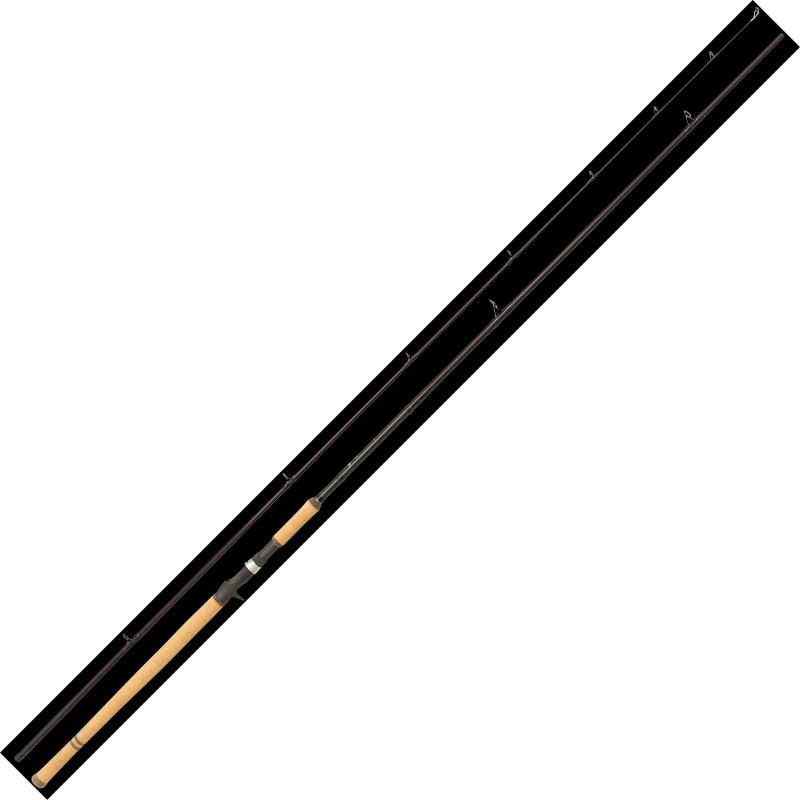 Abu Garcia Rod Salmon Seeker Casting 12Ft 50-150g 3,66M