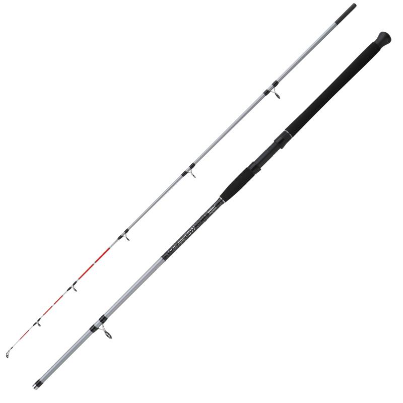 Mitchell Tanager Sw 242 50-150g Dorade 2,40M