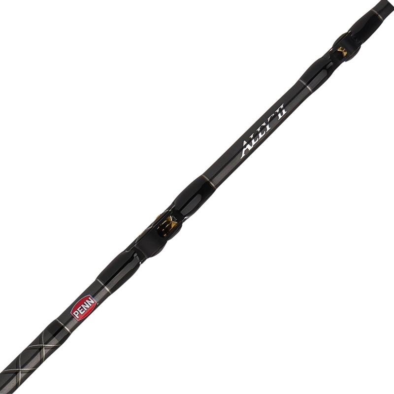 PENN Ally II 80-130lb 6F Arbb