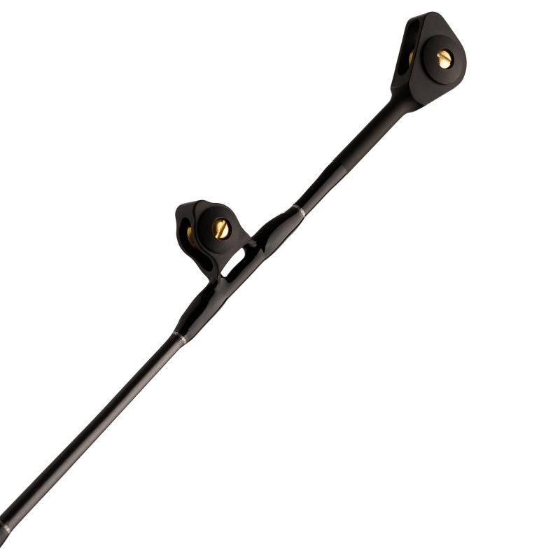 PENN Ally II 80-130lb 6F Arbb